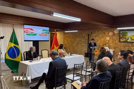 Đại sứ Việt Nam tại Brazil Bùi Văn Nghị phát biểu tại Tọa đàm. (Ảnh: TTXVN phát)