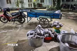 Toàn bộ số tang vật cùng 127kg thằn lằn núi Bà Đen vận chuyển trái pháp luật bị lực lượng Kiểm lâm Tây Ninh tạm giữ để xác minh, làm rõ. (Ảnh: Giang Phương/TTXVN)
