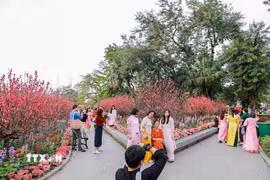 Dịp Tết Nguyên đán 2027 nghỉ từ thứ Năm ngày 4/2/2027 (tức ngày 28 tháng Chạp năm Bính Ngọ) đến hết thứ Tư ngày 10/2/2027 (tức ngày mùng 5 tháng Giêng năm Đinh Mùi). (Ảnh: Khánh Hòa/TTXVN)