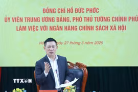 Phó Thủ tướng Hồ Đức Phớc phát biểu chỉ đạo. (Ảnh: TTXVN phát)