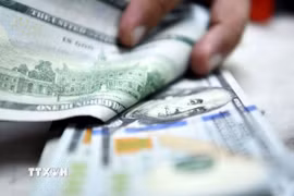 Ảnh minh họa. (Nguồn: THX/TTXVN)