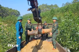 Quả bom được xác định là loại bom phá, có ký hiệu MK-82, đường kính 20cm, dài 155cm, nặng khoảng 350kg, còn nguyên kíp nổ còn sót lại do Mỹ thả xuống trong thời kỳ chiến tranh. (Ảnh: TTXVN phát)