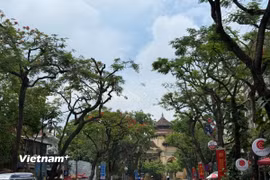 Hà Nội ngày nắng, có nơi nắng nóng; chiều có thể có dông, đêm không mưa. (Ảnh: Vietnam+)