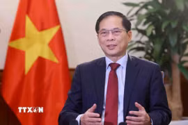 Phó Thủ tướng Bùi Thanh Sơn. (Ảnh: Phạm Kiên/TTXVN)
