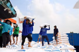 Chính phủ quy định 7 cơ chế hỗ trợ doanh nghiệp tham gia Hệ sinh thái FTA