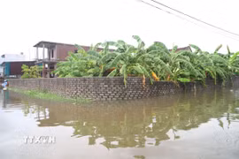 Nước ngập sâu, cụm dân cư tạm thời bị cô lập. (Ảnh: Xuân Tiến/TTXVN)