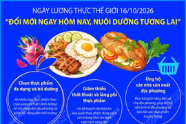 Ngày Lương thực Thế giới: “Đổi mới ngay hôm nay, nuôi dưỡng tương lai”