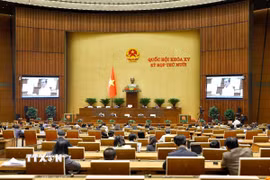 Quang cảnh phiên họp ngày 28/11. (Ảnh: Doãn Tấn/TTXVN)