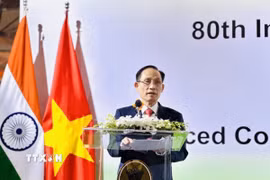 Ủy viên Bộ Chính trị, Bộ trưởng Ngoại giao Lê Hoài Trung phát biểu. (Ảnh: Việt Đức/TTXVN)