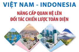 Việt Nam và Indonesia nâng cấp quan hệ lên Đối tác Chiến lược Toàn diện