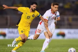 Việt Nam tái ngộ Malaysia với lợi thế thắng 2-0 ở lượt đi trên sân đối thủ. (Ảnh: TTXVN phát)