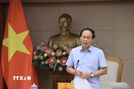 Phó Thủ tướng Lê Tiến Châu phát biểu. (Ảnh: Tuấn Anh/TTXVN)