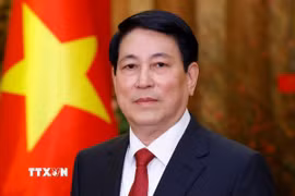 Chủ tịch nước Lương Cường. (Ảnh: TTXVN)