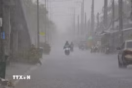 (Ảnh minh họa: Duy Khương/TTXVN)