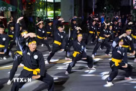 Giới thiệu giá trị đặc sắc của Võ thuật cổ truyền Việt Nam đến bạn bè quốc tế