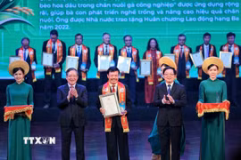 Phó Thủ tướng Chính phủ Hồ Quốc Dũng và Chủ tịch Trung ương Hội Nông dân Việt Nam Lương Quốc Đoàn vinh danh Tiến sỹ Nguyễn Xuân Dương, Chủ tịch Hội Chăn nuôi Việt Nam, tại Chương trình “Nhà khoa học của Nhà nông” năm 2026. (Ảnh: Phạm Tuấn Anh/TTXVN)