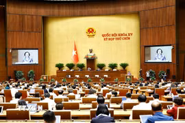 Bộ trưởng Bộ Nội vụ Phạm Thị Thanh Trà trình bày Tờ trình về việc sắp xếp đơn vị hành chính cấp tỉnh năm 2025. (Ảnh: Doãn Tấn/TTXVN)
