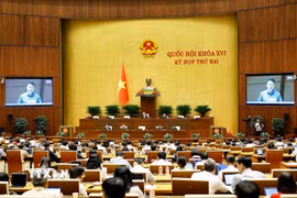 Quang cảnh phiên họp. (Ảnh: Doãn Tấn/TTXVN)