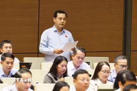Đại biểu Quốc hội Thành phố Hồ Chí Minh Lê Văn Đông phát biểu. (Ảnh: Doãn Tấn/TTXVN)