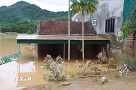 Đỉnh điểm lũ dâng cao, ngôi nhà này chỉ còn nhìn thấy mái ngói. Thời điểm trưa ngày 24/7, mực nước lũ đã rút xuống hơn một nửa. (Ảnh: Xuân Tiến/TTXVN)