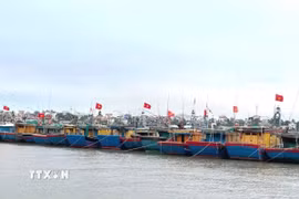 Quảng Trị còn hàng chục tàu cá chưa đủ điều kiện hoạt động, cùng những nguy cơ vi phạm trong quá trình khai thác trên biển. (Ảnh minh họa: Võ Dung/TTXVN)