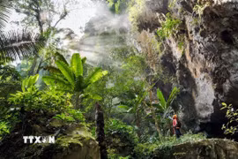 Cánh rừng rậm rạp ngay trước cửa vào Hang Sơn Đoòng. (Ảnh: TTXVN phát)