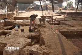 Khu phức hợp được xây dựng vào khoảng thế kỷ VII hoặc VIII, dưới thời Umayyad và Abbasid, và hoạt động trong khoảng 150 năm trước khi bị bỏ hoang. (Ảnh: TTXVN phát)