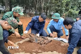 Lực lượng Bộ đội tìm kiếm hài cốt liệt sỹ ở xã Ia Dom. (Ảnh: TTXVN phát)