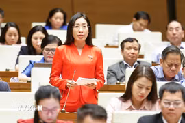 Đại biểu Quốc hội tỉnh Tây Ninh Hoàng Thị Thanh Thúy phát biểu. (Ảnh: Doãn Tấn/TTXVN)