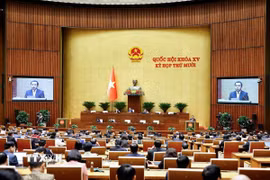 Bộ trưởng Bộ Nông nghiệp và Môi trường Trần Đức Thắng trình bày Tờ trình về 02 dự án: Luật sửa đổi, bổ sung một số điều của Luật Địa chất và khoáng sản; Luật sửa đổi, bổ sung một số điều của các luật trong lĩnh vực nông nghiệp và môi trường. (Ảnh: Doãn Tấn/TTXVN)