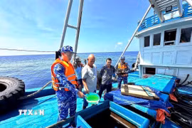 Lực lượng chức năng Bộ Tư lệnh Vùng Cảnh sát biển 4. (Ảnh minh họa: Đức Thái/TTXVN phát)