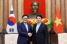 Chủ tịch nước Lương Cường tiếp Chủ tịch Quốc hội Hàn Quốc Woo Won Shik. (Ảnh: Lâm Khánh/TTXVN)