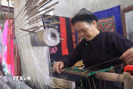 Nghệ nhân Nông Thị Thược luôn đau đáu nỗi niềm gìn giữ và phát huy nghề dệt thổ cẩm truyền thống ở Luống Nọi. (Ảnh: Chu Hiệu/TTXVN)