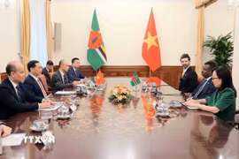 Phó Thủ tướng, Bộ trưởng Bộ Ngoại giao Bùi Thanh Sơn hội đàm với Bộ trưởng Ngoại giao, Ngoại thương, Thương mại và Năng lượng Cộng đồng Thịnh vượng Dominica Vince Henderson. (Ảnh: An Đăng/TTXVN)
