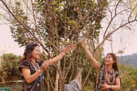 Hồi sinh giữa đại ngàn: Mùa xuân "chữa lành" xã Hùng Sơn