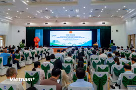 Toàn cảnh Hội nghị Tổng kết công tác chỉ đạo chuyên môn kỹ thuật, triển khai Đề án Phát triển mạng lưới bệnh viện vệ tinh giai đoạn 2026 - 2030 và định hướng công tác y học gia đình. (Ảnh: Thanh Phong/Vietnam+)
