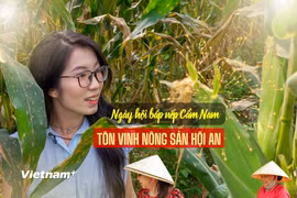 Bắp nếp Cẩm Nam, một trong những đặc sản có hương vị độc đáo của vùng Di sản Văn hóa Thế giới phố cổ Hội An. (Ảnh: Thanh Phong/Vietnam+)