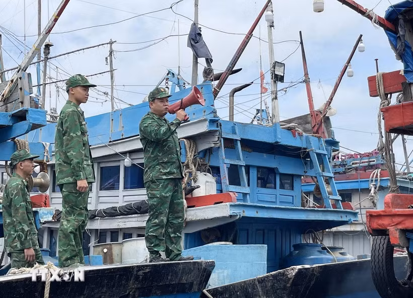 Bộ đội biên phòng dùng loa phóng thanh kêu gọi các tàu cá sắp xếp neo đậu an toàn tại cảng cá Sa Huỳnh. (Ảnh: Phạm Cường/TTXVN)