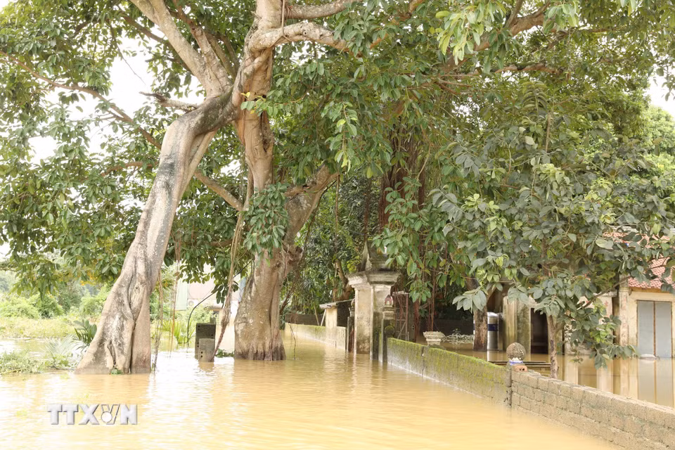 Nước lũ đang rút tại khu vực đình Ngọc Nhị, thôn Gia Thủy, xã Gia Tường. (Ảnh: Đức Phương/TTXVN)