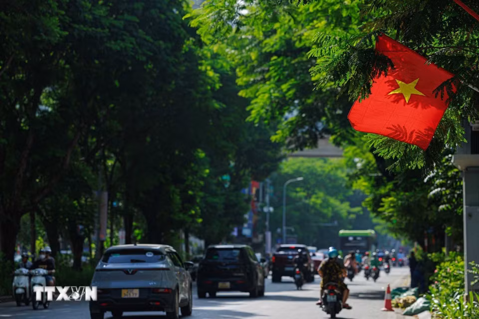 Lá cờ Tổ quốc nổi bật giữa những tán cây xanh trong nắng tháng Chín, một hình ảnh giản dị mà rất đỗi thân quen với nhiều thế hệ người Hà Nội mỗi dịp Quốc khánh. (Ảnh: Phạm Tuấn Anh/TTXVN)