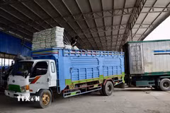 Xe chở hàng nông sản chuẩn bị xuất khẩu sang Campuchia qua Cửa khẩu Khánh Bình, tỉnh An Giang. (Ảnh minh họa: Thanh Sang/TTXVN)