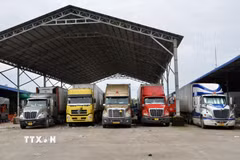 Xe container vận chuyển hàng hóa xuất khẩu sang Campuchia qua Cửa khẩu Khánh Bình, tỉnh An Giang. (Ảnh: Thanh Sang/TTXVN)