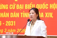 Phó Chủ tịch Hội đồng Dân tộc của Quốc hội Đinh Thị Phương Lan thông qua chương trình hành động với cử tri đặc khu Lý Sơn. (Ảnh: TTXVN phát)