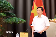 Phó Thủ tướng Hồ Quốc Dũng phát biểu. (Ảnh: Tuấn Anh/TTXVN)