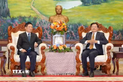 Phó Thủ tướng Chính phủ Hồ Đức Phớc hội kiến Tổng Bí thư, Chủ tịch nước Lào Thongloun Sisoulith. (Ảnh: Đỗ Bá Thành/TTXVN)
