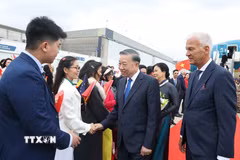 Cán bộ, nhân viên Đại sứ quán và cộng đồng người Việt Nam đón Tổng Bí thư, Chủ tịch nước Tô Lâm và Phu nhân Ngô Phương Ly tại Sân bay quân sự Melsbroek, Brussels. (Ảnh: Thống Nhất/TTXVN)