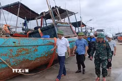 Ông Bùi Trung Tiến, Bí thư Đảng ủy Đặc khu Bạch Long Vĩ kiểm tra công tác phòng chống bão trên đảo. (Ảnh: TTXVN phát)