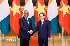 Chủ tịch Quốc hội Trần Thanh Mẫn đón Chủ tịch Quốc hội Cộng hòa Côte d’Ivoire (Bờ Biển Ngà) Patrick Achi thăm chính thức Việt Nam. (Ảnh: Doãn Tấn/TTXVN)