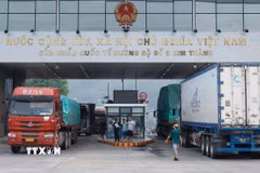 Hoạt động xuất nhập khẩu tại Cửa khẩu Quốc tế đường bộ số II Kim Thành, Lào Cai. (Ảnh: Quốc Khánh/TTXVN)
