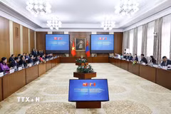 Chủ tịch Quốc hội Trần Thanh Mẫn hội đàm với Chủ tịch Quốc hội Mông Cổ Sandag Byambatsogt. (Ảnh: Doãn Tấn/TTXVN)